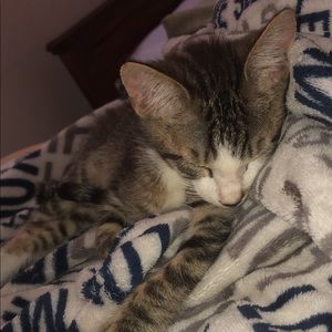 Meet your Posher, Julia